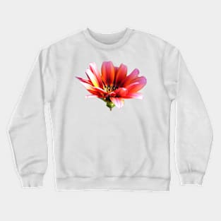 Orange Flower on dark brown background Crewneck Sweatshirt